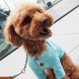 ベーシックシリーズ　パーツセットA