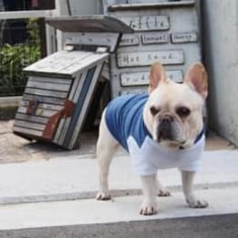 ベーシックタンクトップ&Tシャツ