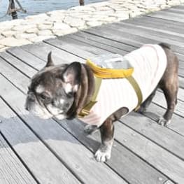 リュックサック・ボディバッグ