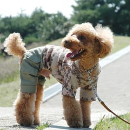 カバーオール(つなぎ)