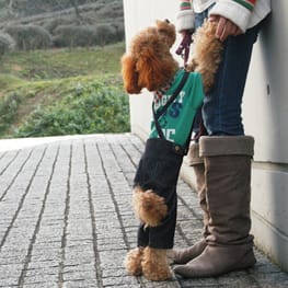 パンツ/サロペット