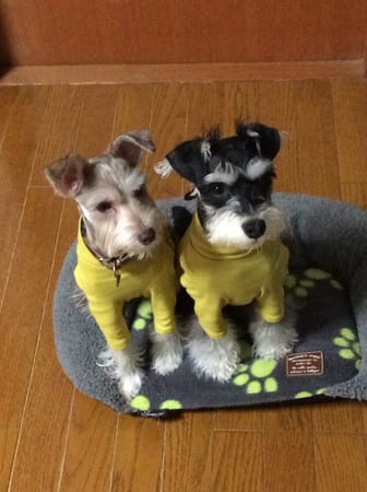 かんれいさんの作品