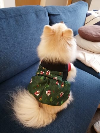 にこママさんの作品