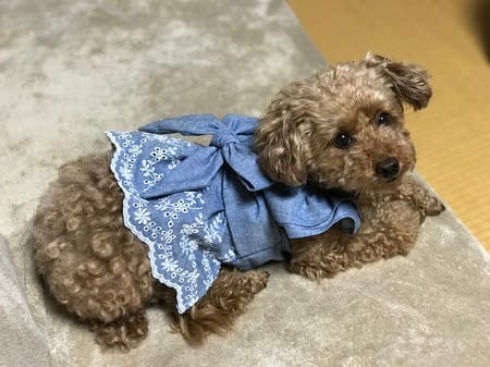 teruruさんの作品