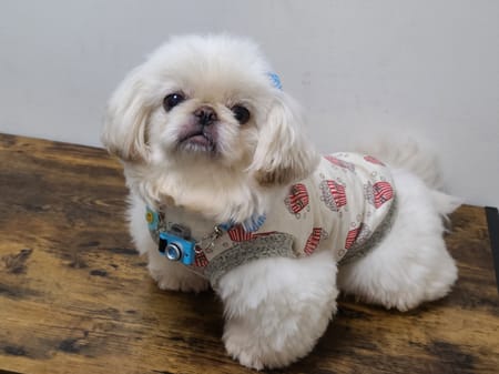 おとしらママさんの作品