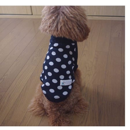 Linge*さんの作品