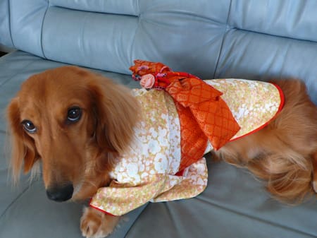 ぽったぁさんの作品