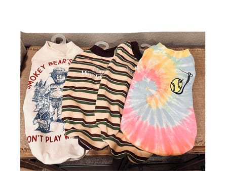 りりかさんの作品