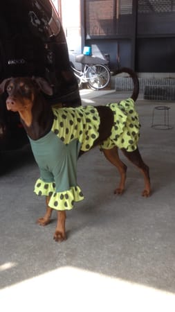 Aliceさんの作品