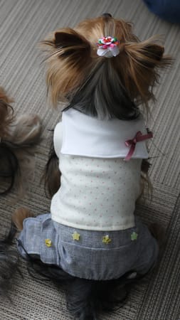 maririnhahaさんの作品