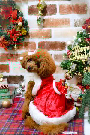 C&L.mamaさんの作品