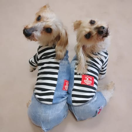 ひなはなさんの作品