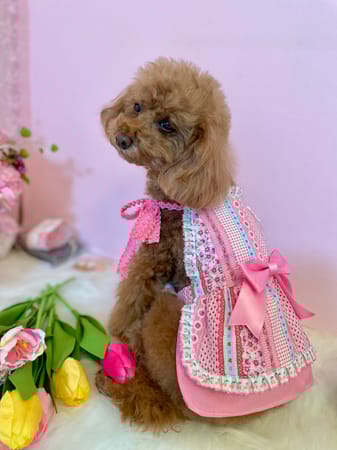 ひめさんの作品