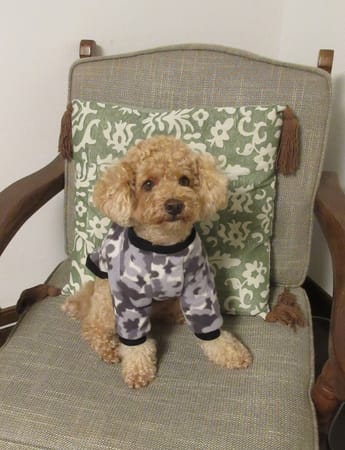 リンゴさんの作品