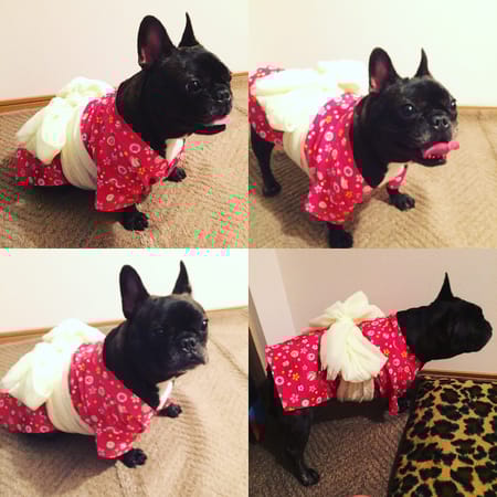 咲桜さんの作品