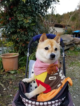 mizukiakiraさんの作品