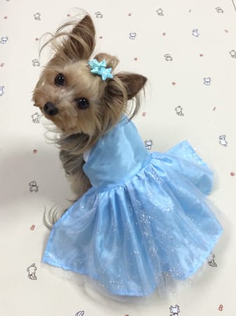 erikoさんの作品