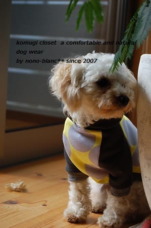 こむぎさんの作品