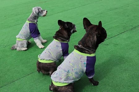 ちびっこさんの作品