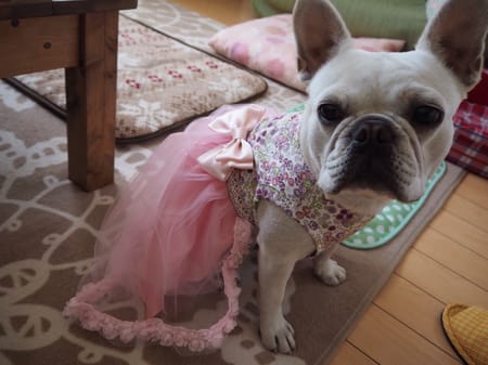 げんこつママさんの作品