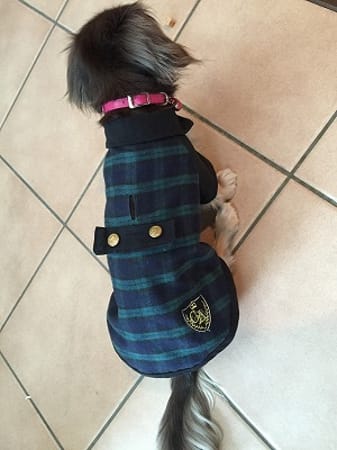 みにくろりんさんの作品