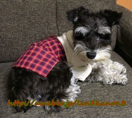 レンかのさんの作品