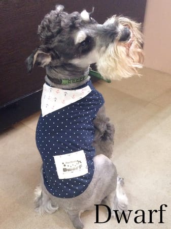 Dwarfさんの作品