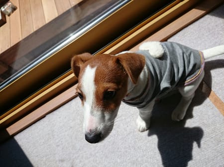 古都さんの作品