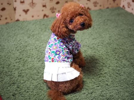 アロモアママさんの作品