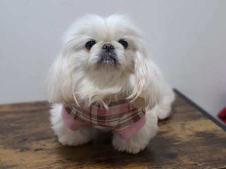 おとしらママさんの作品