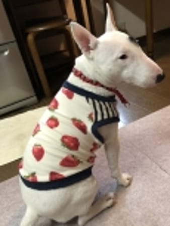 あけももさんの作品