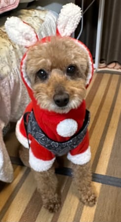 モナリオさんの作品