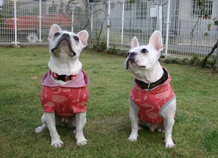 げんこつママさんの作品