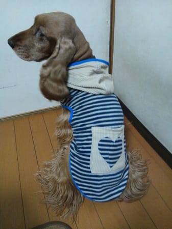 晴ママさんの作品