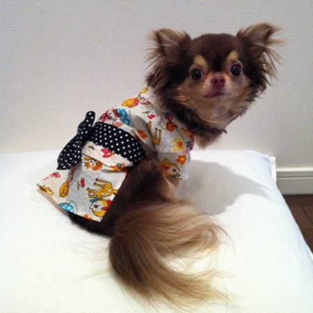 suucoさんの作品