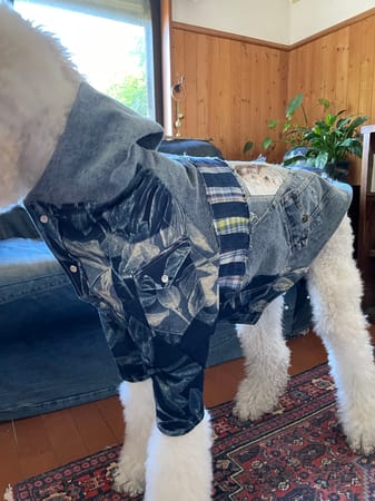 Chizukoさんの作品