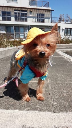 くぅさんの作品