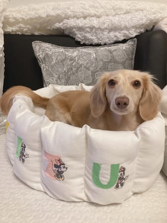 チーママさんの作品