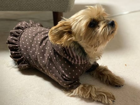 Keyakiさんの作品