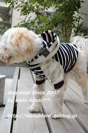 こむぎさんの作品