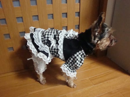 かさたんさんの作品