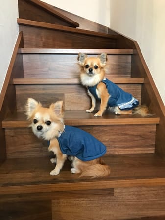 anirokitchenさんの作品