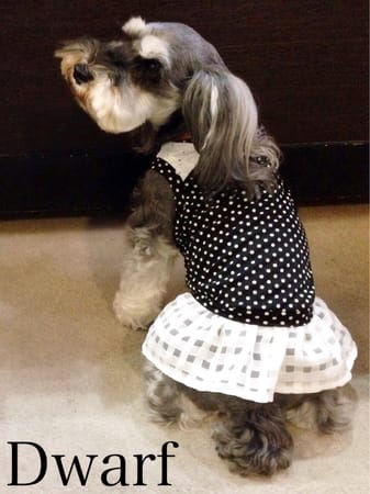 Dwarfさんの作品