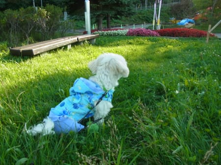 わかばさんの作品