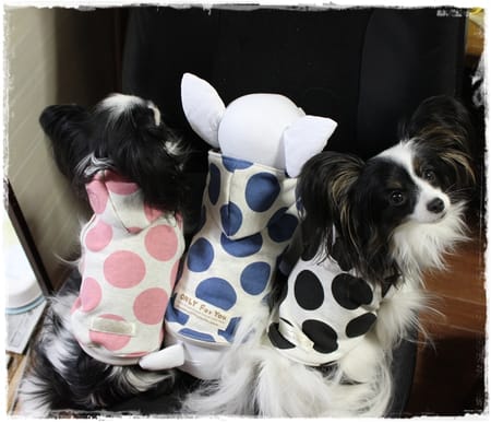 依音さんの作品