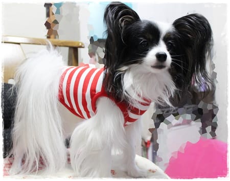 依音さんの作品