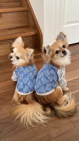 anirokitchenさんの作品