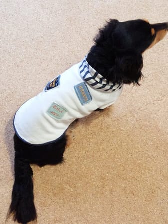 gohanさんの作品