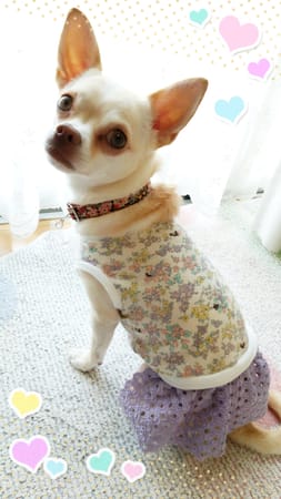 tenderwind+Kさんの作品