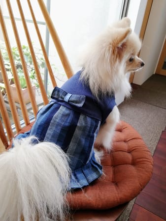 にこママさんの作品